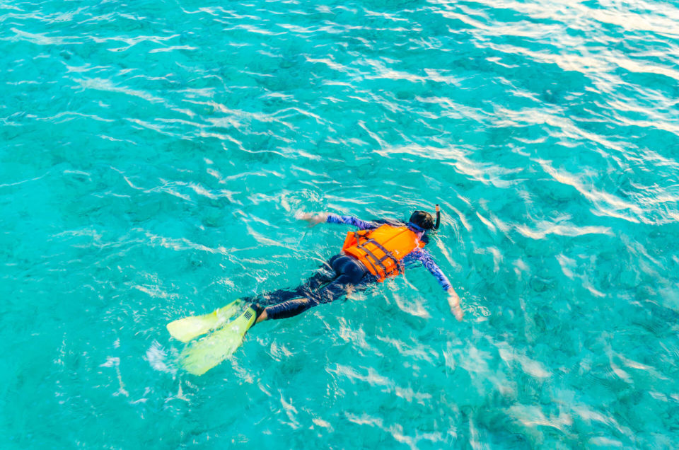 Tips Melakukan Kegiatan Snorkeling